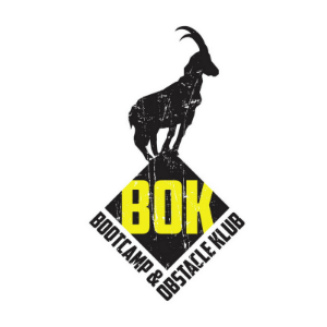 5b4deb2c867ca-bok-den-haag-logo