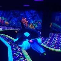 5c51bfa8304be-glowgolf-orca