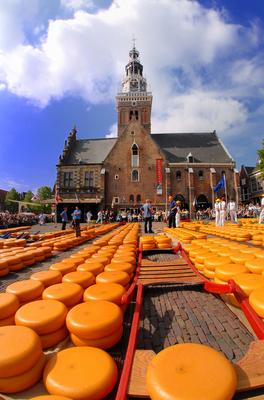 alkmaar-kaasmarkt2