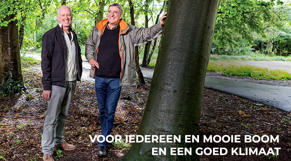 bomenstichting bomenstichting