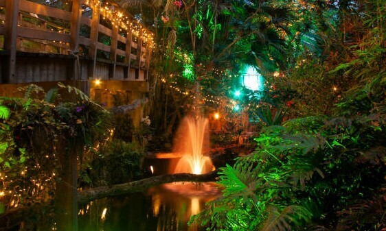 kaarsjesavond-06 kaarsjesavond-06