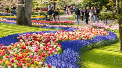 keukenhof-13