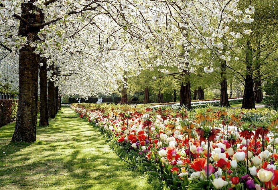 keukenhof-3