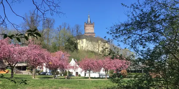 kleef-schwanenburg kleef-schwanenburg