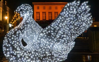 kleve-kerstmarkt-zwaan