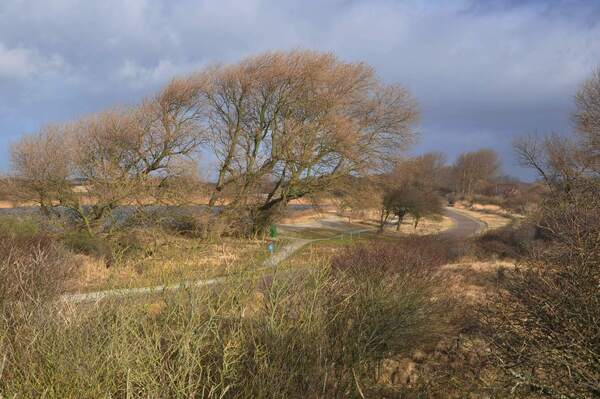 meijendel wandelen