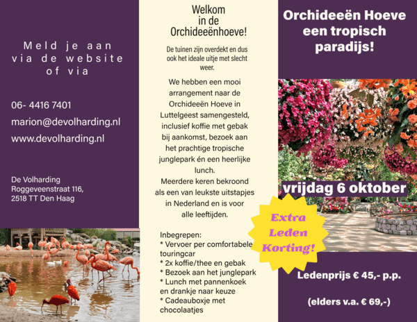 orchideeen-hoeve-