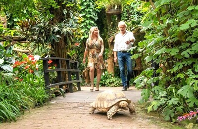 pantropica-01 pantropica-01