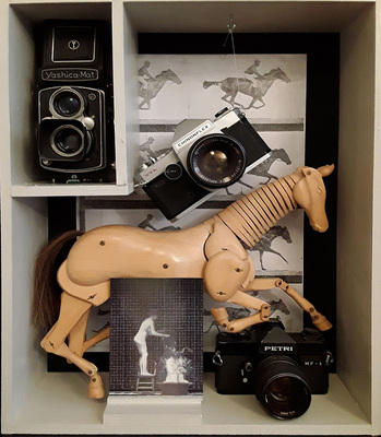 tafereel-paard-web tafereel-paard-web