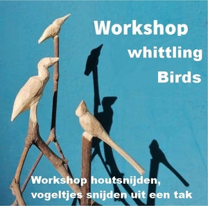 tak-snijden-h