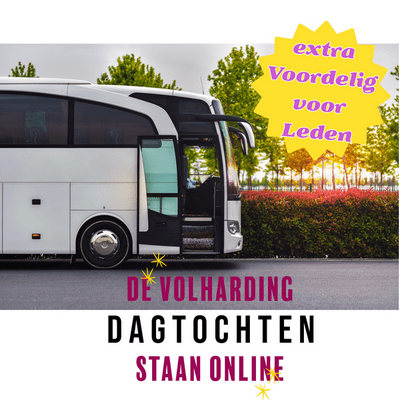 website-hoofd